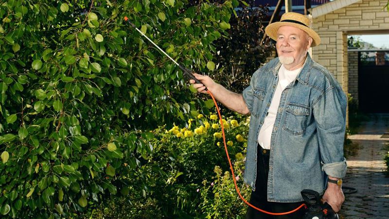 Advantages and Disadvantages of Equipment Leasing for Business Growth