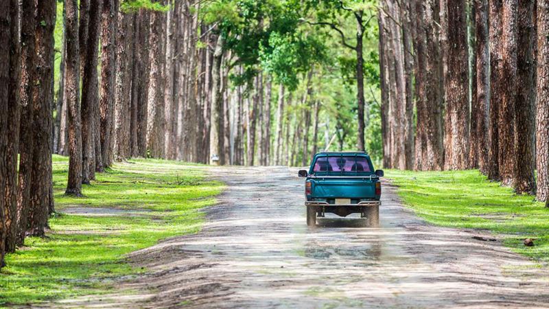 Ultimate Guide to Versatile Uses of Pickup Trucks