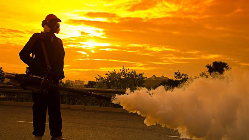 Comprehensive Guide to Pest Management: Significance and Leading Service Providers