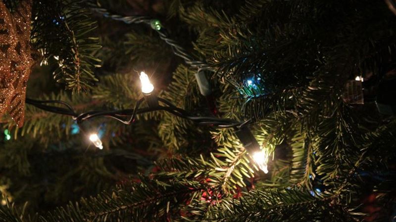 Essential Factors to Consider When Choosing Icicle Christmas Lights for Your Home Decor