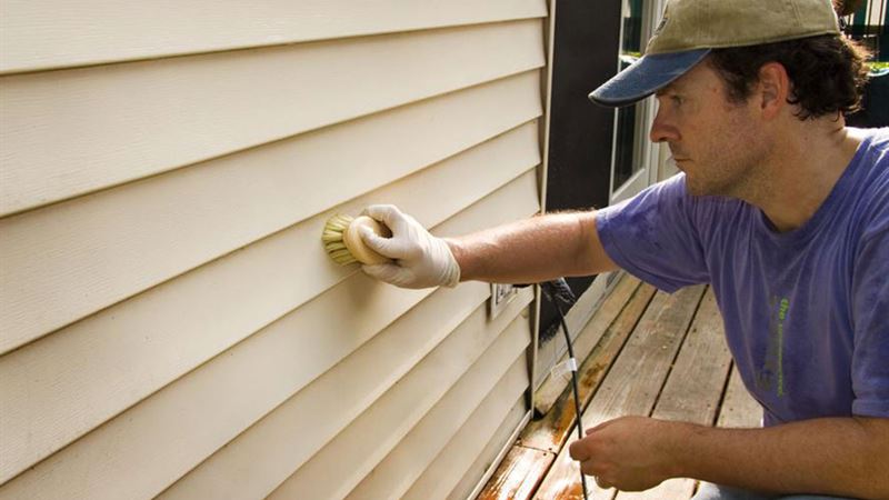 Comprehensive Guide to Effective Home Mold Remediation and Repair Services