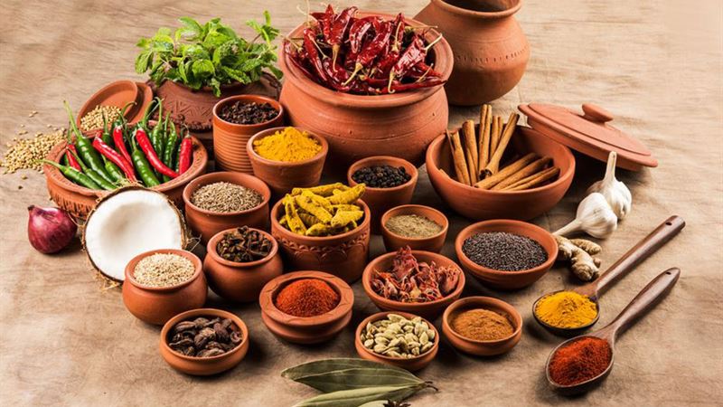 Unlocking the Therapeutic Potential of Spices and Nutrients for Gut Health