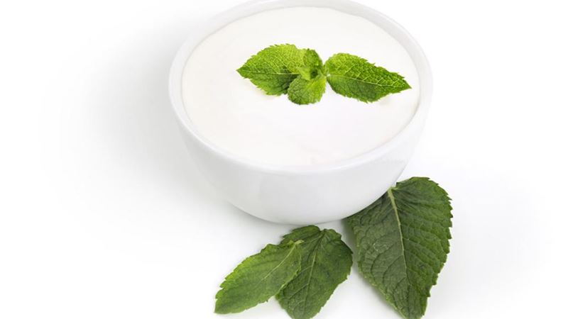 Comprehensive Guide to Selecting the Most Nutritious Probiotic Yogurt for Your Health Goals