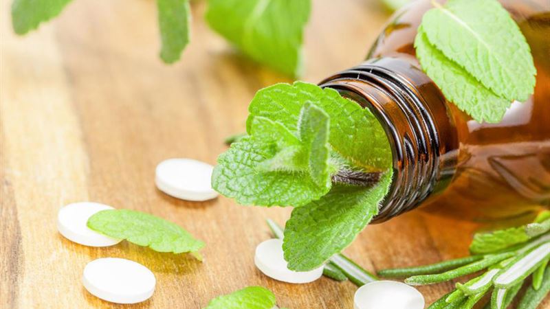 Comprehensive Guide to Selecting Effective Flea and Tick Treatments for Pets