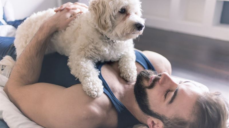 Understanding Emotional Support Animals (ESAs): A Complete Guide to Certification and Benefits