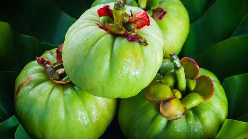 Comprehensive Guide to How Garcinia Cambogia Facilitates Weight Loss and Mood Enhancement