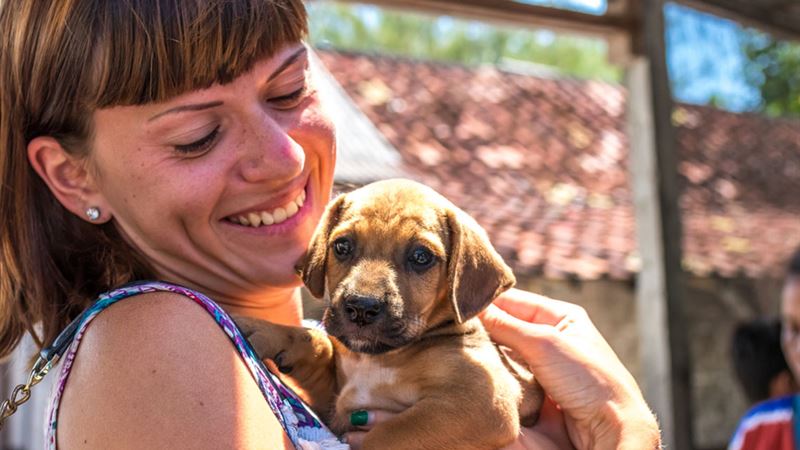 Comprehensive Guide to the Top Puppy Adoption Centers You Can Trust
