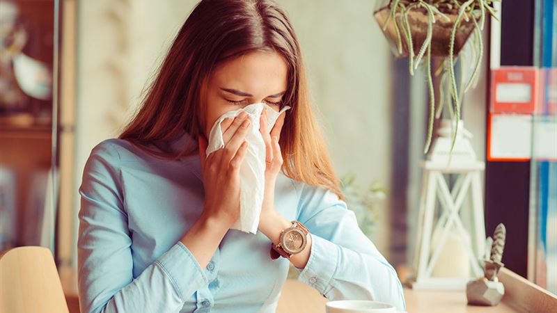 Comprehensive Guide to Effective Allergy Treatment Strategies