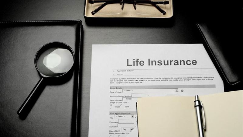Comprehensive Guide to Understanding and Choosing Term Life Insurance