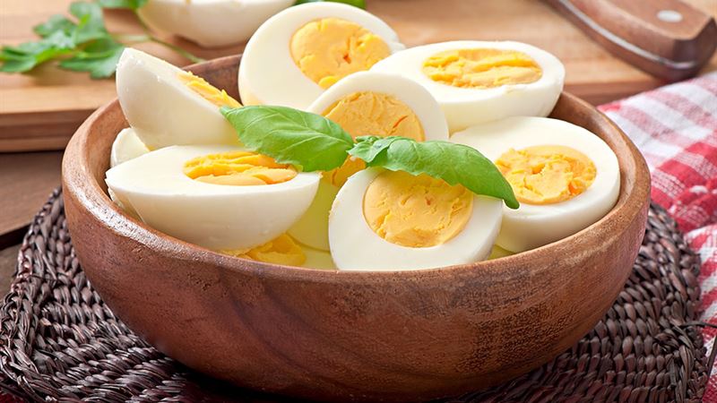 Safe and Nutritious Human Foods Suitable for Cats