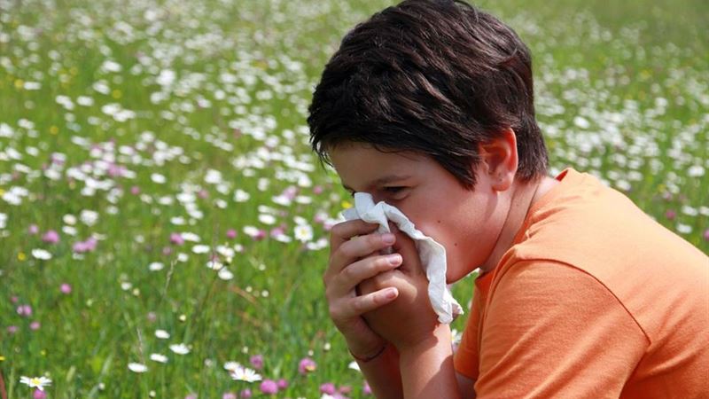 Comprehensive Guide to Recognizing and Managing Mold Allergy Symptoms and Treatments