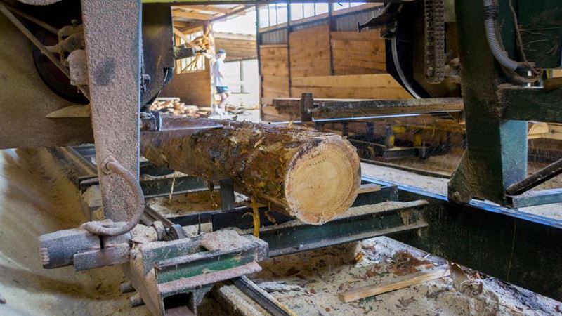 Ultimate Guide to Selecting the Ideal Portable Sawmill for Your Woodworking Needs
