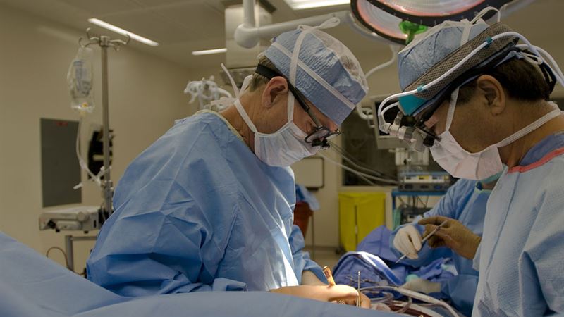 Comprehensive Guide to Gastric Sleeve Surgery: Procedure, Advantages, and Cost Breakdown