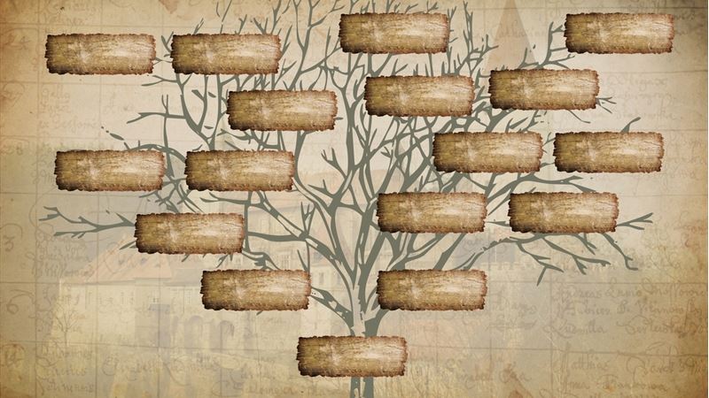 A Comprehensive Guide to Discovering Your Family Origins and Building Your Ancestral Heritage