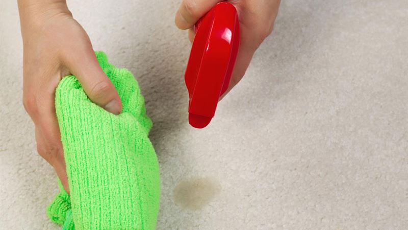 Effective Strategies for Removing Common Stains During Household Cleaning