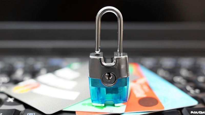 Comprehensive Guide to Identity Theft Protection Services and Their Importance