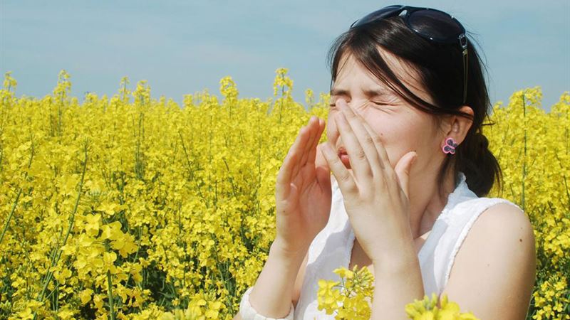 Effective Strategies to Alleviate Pollen Allergy Symptoms Naturally