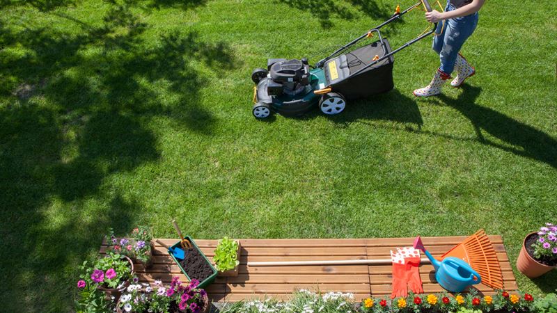 Top Lawncare Equipment Discounts: Best Lawn Mowers to Buy During Seasonal Sales