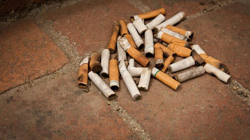 Comprehensive Overview of the Detrimental Effects of Tobacco Smoking on Health