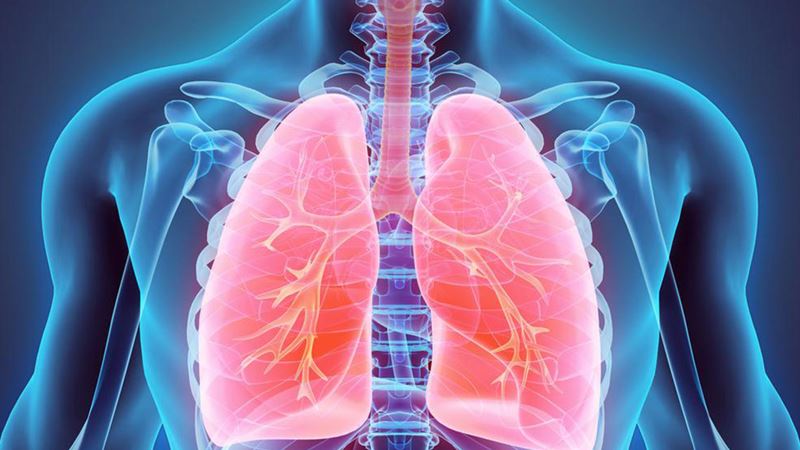 Comprehensive Guide to Recognizing and Managing Lung Cancer Symptoms and Treatments
