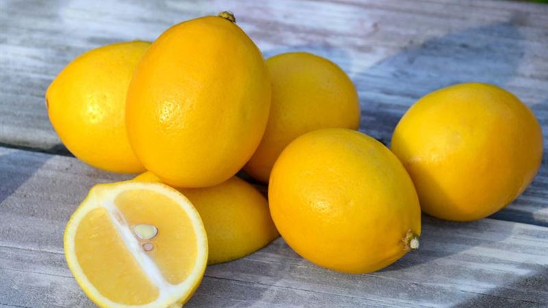 Effective Natural Home Treatments for Erectile Dysfunction