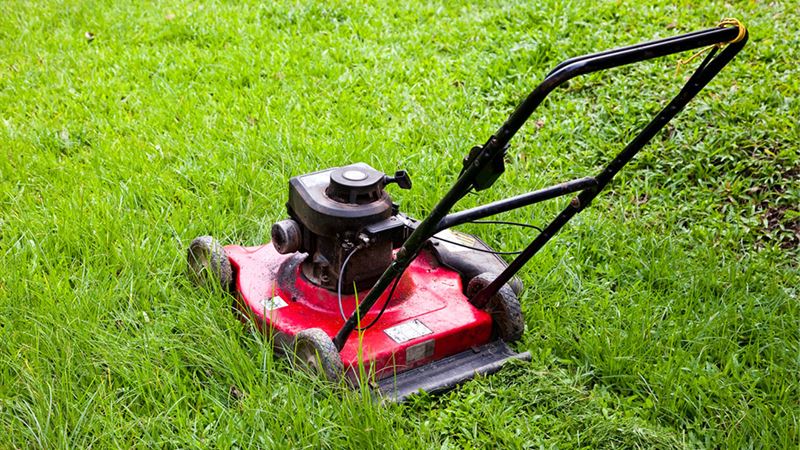 Ultimate Guide to Black Friday Lawn Mower Deals: Top Offers You Can't Miss