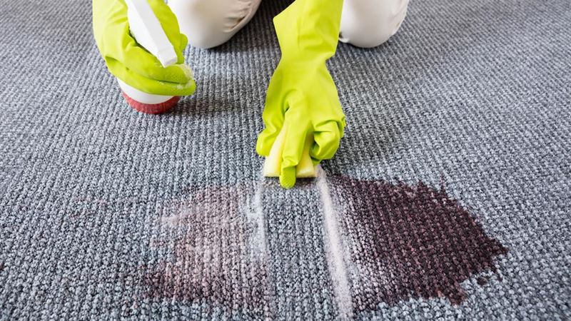 Ultimate Guide to Top Carpet Stain Removal Solutions for a Fresh and Clean Home