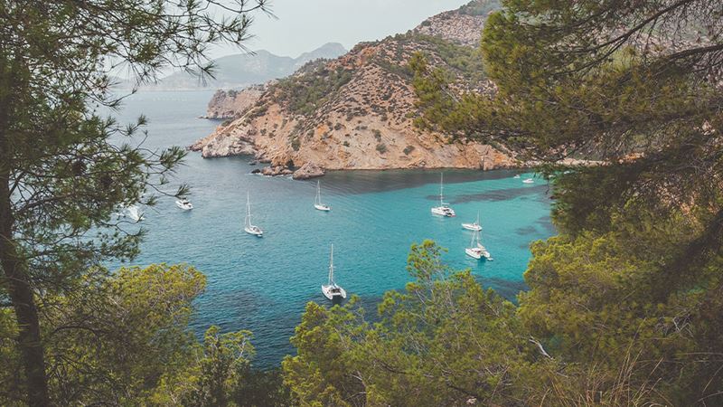 Ultimate Majorca Travel Guide: Expert Tips for Booking Flights and Finding the Perfect Stay