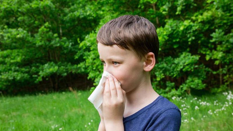 Comprehensive Natural Solutions for Pollen Sensitivity Relief