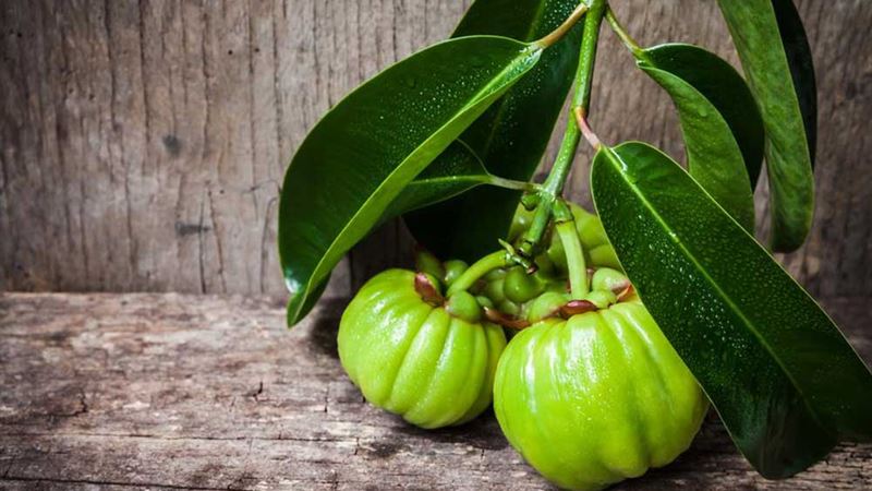 Comprehensive Overview of Garcinia Cambogia: Potential Risks and Considerations