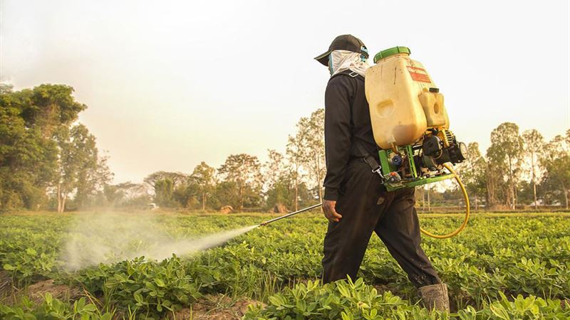 Top 3 Leading Pest Control Providers You Should Consider for Effective Solutions