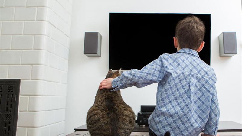 Best Samsung 32-Inch Smart Televisions for Your Home Entertainment System