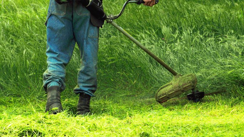Achieving a Pest-Free Garden: The Ultimate Guide to Weed Eaters and Lawn Maintenance