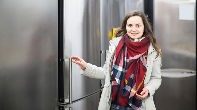 Comprehensive Guide to Five Varieties of Freezerless Refrigerators for Modern Spaces