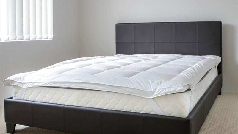 Comprehensive Guide to Sealy Mattress Types: Make the Right Choice for Your Sleep Needs